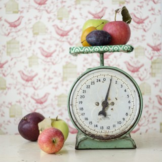 Studio shot of fruits on weight scale.