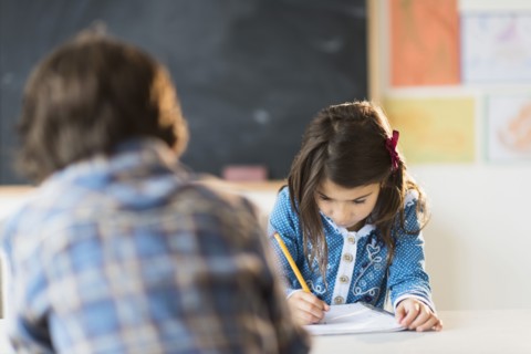Pupils (6-7) learning in classroom.