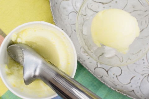 Studio shot of ice cream dessert