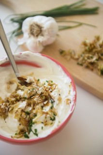 Studio shot of onion dip