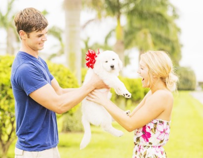 Boyfriend giving white puppy with ribbon bow to girlfriend as present