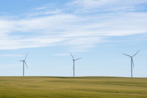 Wind turbines at green field