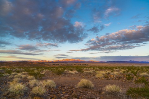 Landscape with desert and moody sky
