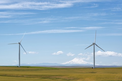 Wind turbines at green field with mountain on background