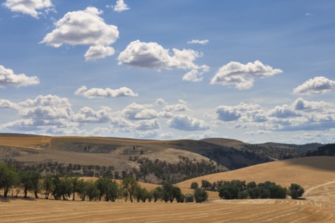 Rolling landscape with cloudy sky