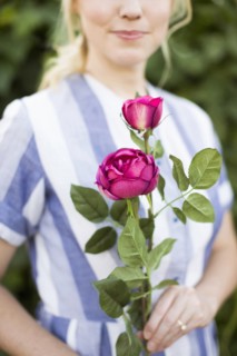 Woman holding purple rose