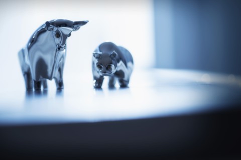 Close-up of ceramic bull and bear.