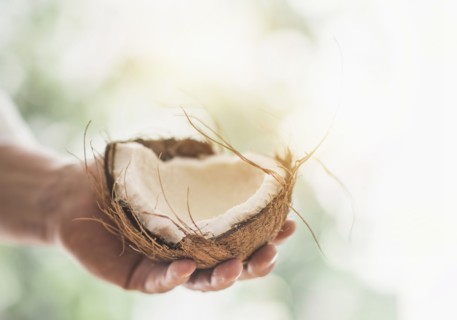 Close up of man's hand holding part of coconut.
