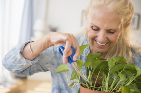 Senior woman cutting plant