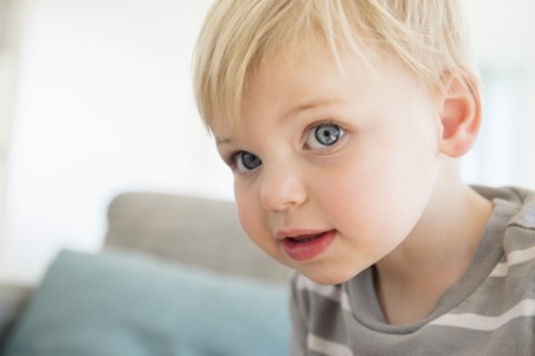 Portrait of cute boy (2-3)