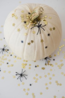 Studio Shot of pumpkin with halloween decoration