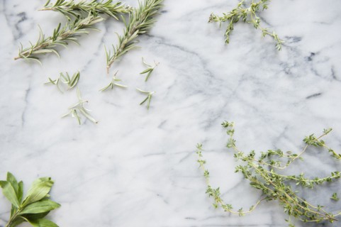 Studio Shot of herbs