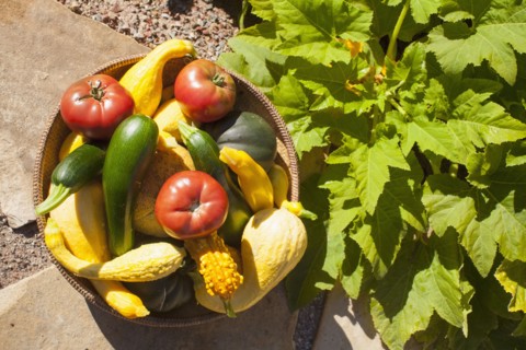 Stack of vegetables in bowl