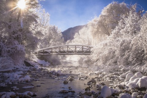 Scenic view of stream in winter
