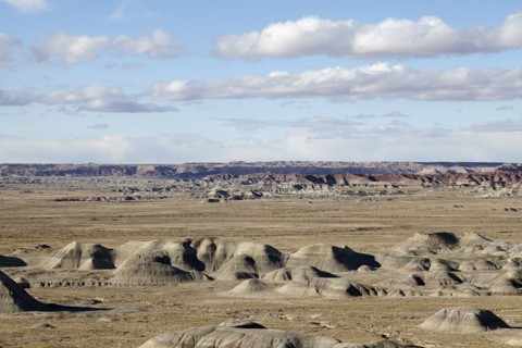 Scenic view of landscape