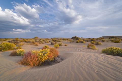 Scenic view of landscape