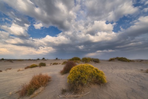 Scenic view of landscape