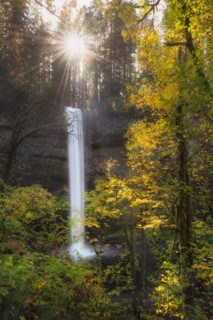 Scenic view of waterfall in autumn forest