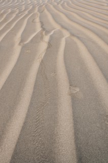 Close-up view of rippled sand