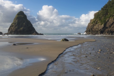 Scenic view of coastline