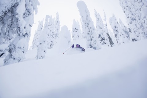 Young man skiing in forest