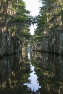 Scenic view of lake