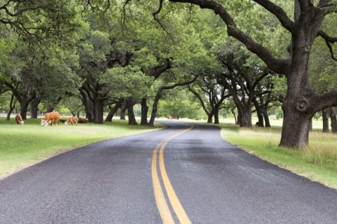 Empty road