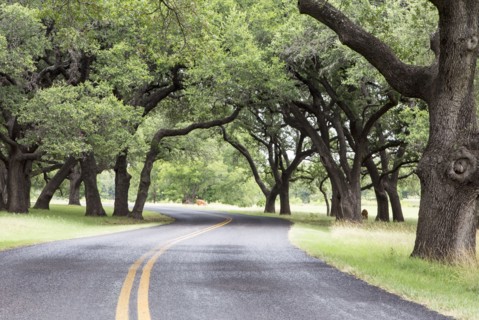 Empty road