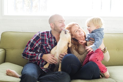 Family with son (2-3) and pug on sofa