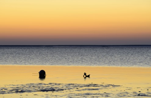 Buoy and anchor silhouetted on wet beach