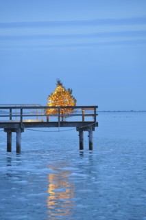 Christmas tree with yellow lights on pier, blue sky and water at dusk