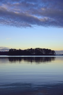 Symmetrical view of trees reflecting in lake at dusk