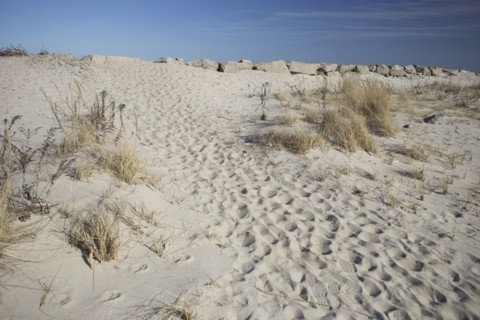 Footprints in sand