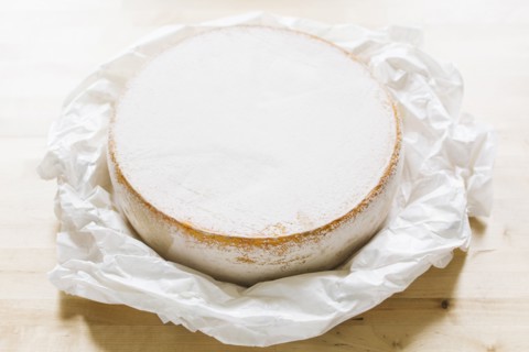 Close up of cheese circle