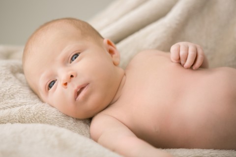 Portrait of newborn baby (0-1 months)