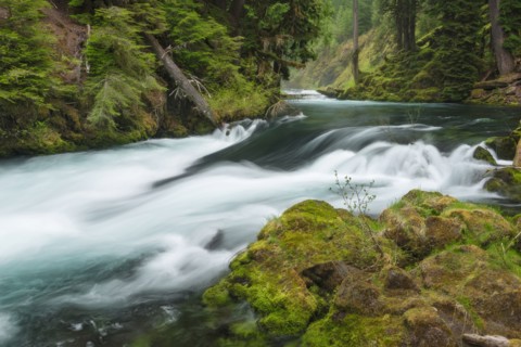 View of McKenzie River
