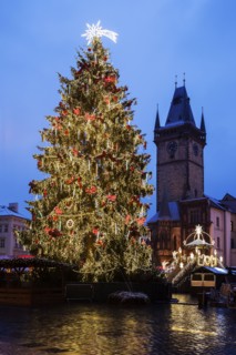 Christmas tree at night