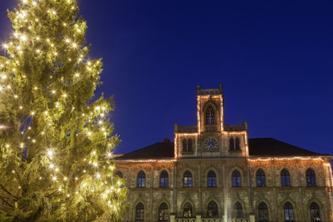 Illuminated Christmas tree and building facade