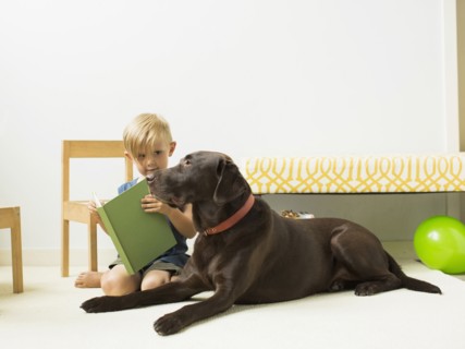 Little boy (2-3) playing with dog