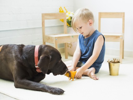 Little boy (2-3) playing with dog