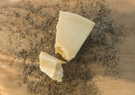 Studio shot of parmesan cheese on dried herbs