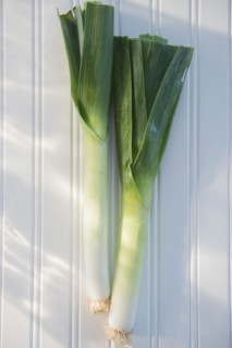 Leeks on white