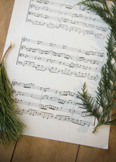 Note sheet and coniferous twigs on wood