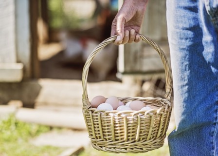 Farmer carrying basket with eggs