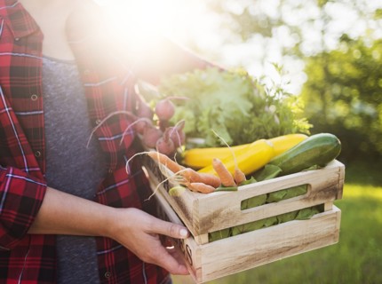 Mid section of woman holding crate with vegetables