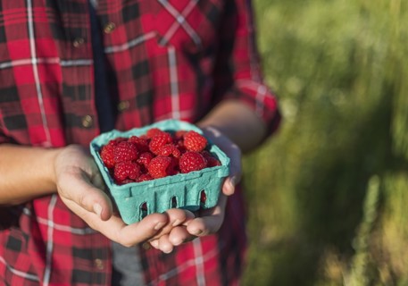 Mid section of woman holding punnet of raspberries