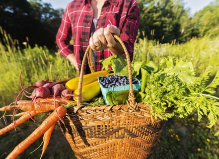 Mid section of woman holding basket with vegetables and fruits