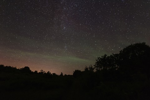 View of starry sky at night