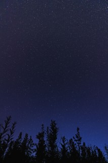 Starry sky at night