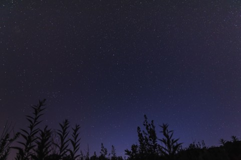 Starry sky at night